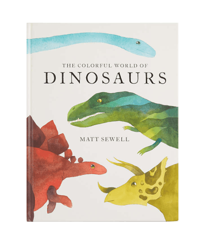 The Colorful World of Dinosaurs Book