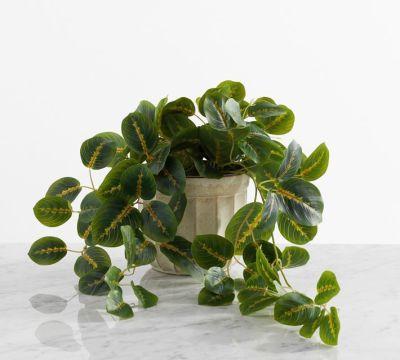 Faux Wandering Prayer Potted Houseplant