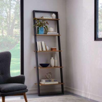 Ladder Bookshelf - Wide