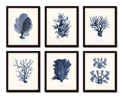  Vintage Coral Prints