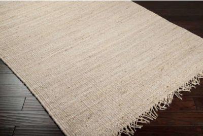 Home Accents Jute Bleached 4' x 6' Area Rug
