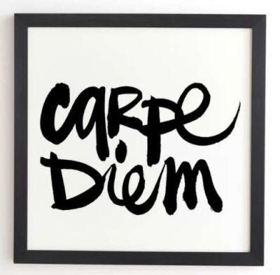 'Carpe Diem' Framed Textual Art on Wood