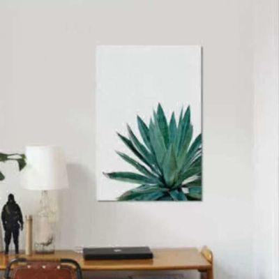 'Agave Cactus' Graphic Art Print on Canvas in Green