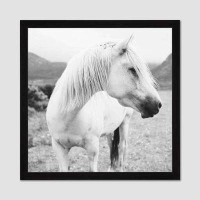 Minted For West Elm - Field Horse