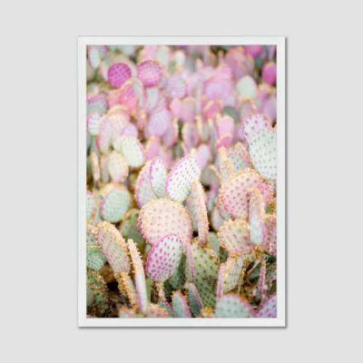 Minted For West Elm - Pink Cacti