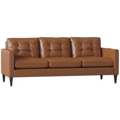 goodyear leather sofa (throw)