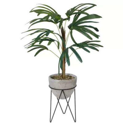Palm Tree in Planter