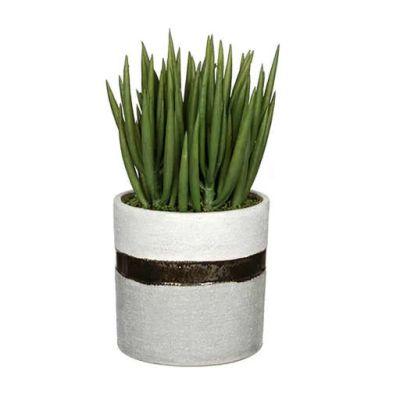 Artificial Sea Sanded Ceramic Aloe Plant in Decorative Vase