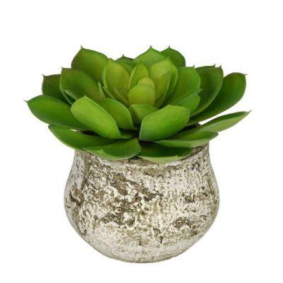 Artificial Echevaria Succulent Desk Top Plant