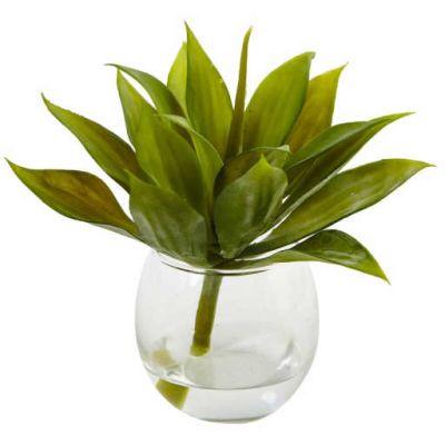 Agave Succulent Plant in Vase Set
