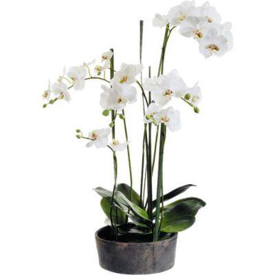 Faux Phalaenopsis Orchids with Clay Pot
