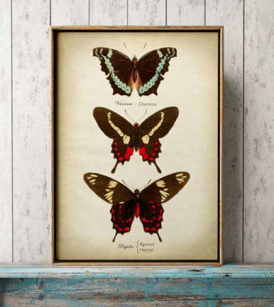 butterflies wall decor  12''x16''