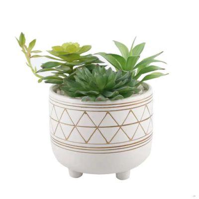Gold Geo Hand Painted Legs Succulent Plant in Pot
