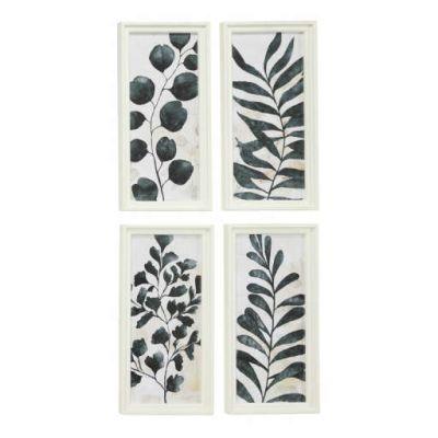 Watercolor Plant Illustrations 4 Piece Framed Painting Set on Wood