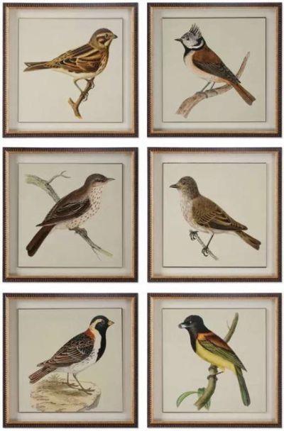 Spring Soldiers Bird by Grace Feyock - 6 Piece Picture Frame Graphic Art Print Set
