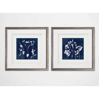 Cyanotype Botanical I 2 Piece Framed Print Set