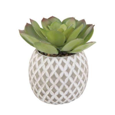 Faux Cement Pineapple Agave Plant in Planter