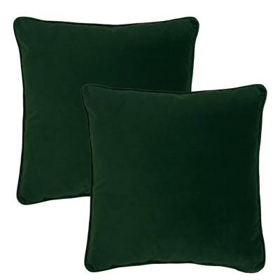 Goodall Velvet Throw Pillow Set of 2 With Insert-20"x20"