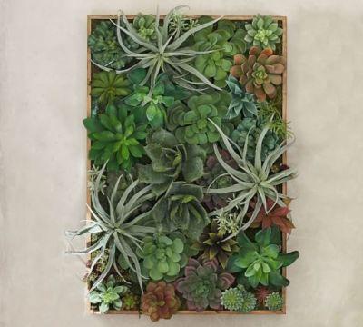 Faux Succulent Wall