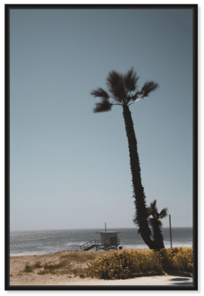 Curro Cardenal - Desert Beach Blues