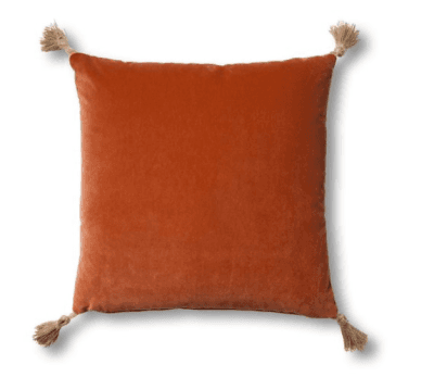Koren 19x19 Pillow, Orange Velvet
