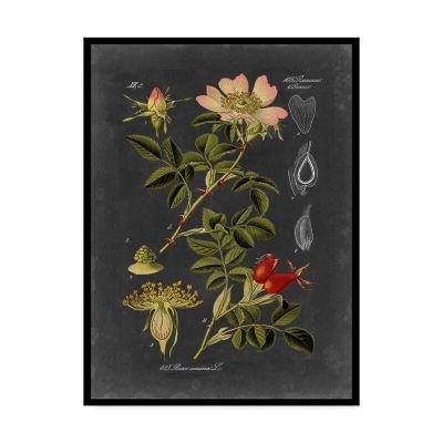 'Midnight Botanical I' Graphic Art Print on Wrapped Canvas
