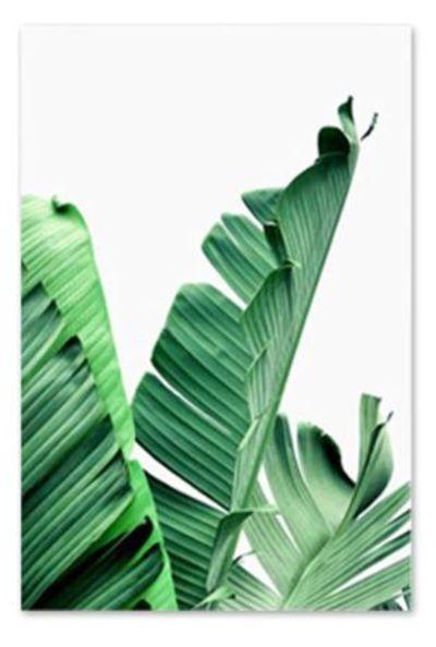 Banana Leaf Print Posters