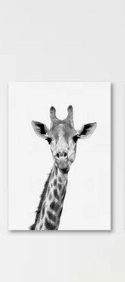 Safari Animals  by Nauda Canvas Art Set of 3
