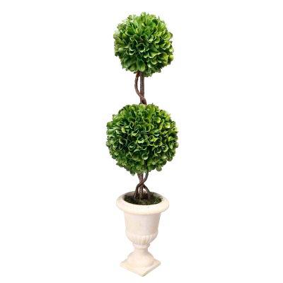 Boxwood Topiary in Urn