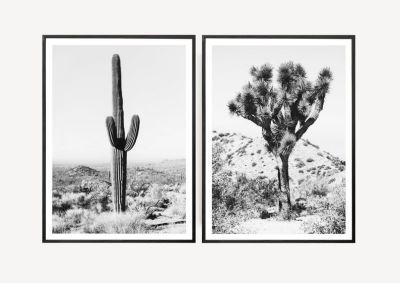 set of two desert prints