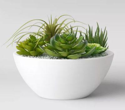 Artificial Mixed Succulent Garden in Ceramic Bowl White