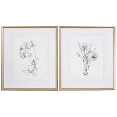 Botanical Sketches 2-Piece 32" High Framed Wall Art 1