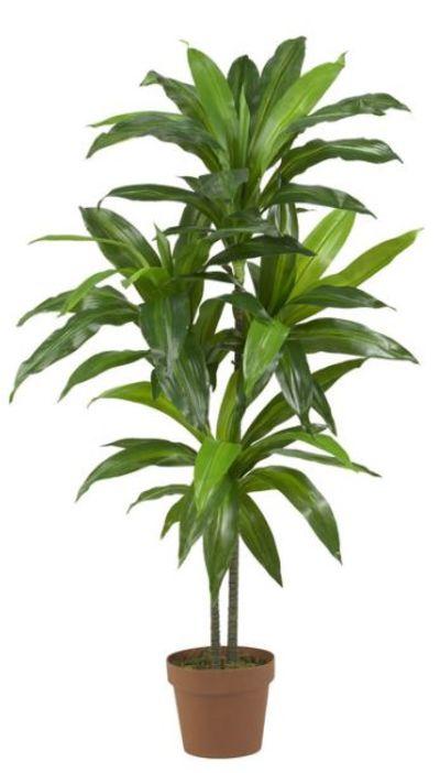 48" Dracaena Silk Plant Real Touch