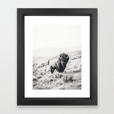Nomad Buffalo Framed Art Print