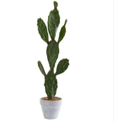 Cactus Artificial Plant