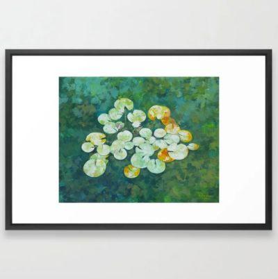 Tranquil lily pond Framed Art Print