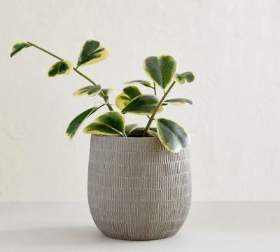 Cosgrove Ceramic Planter