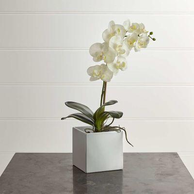 Artificial Large Potted Orchid Plant