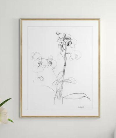 Orchid Studies Framed Drawing Print