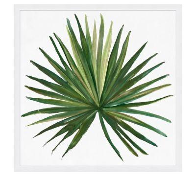 Tropical Palm Framed Print