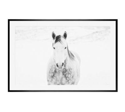 Winter White Horse Print by Jennifer Meyers