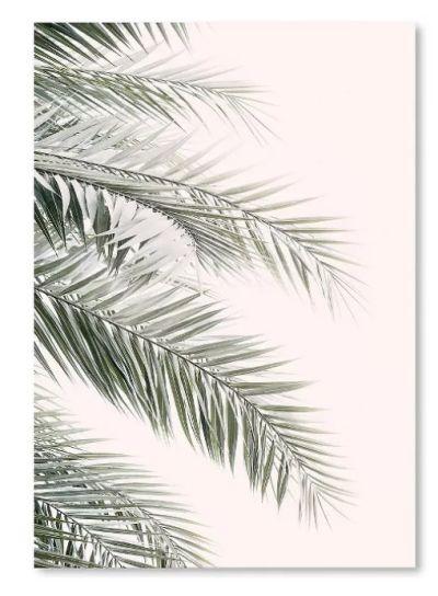 Americanflat Blush Palm Leaf by Sisi and Seb Poster Art Print