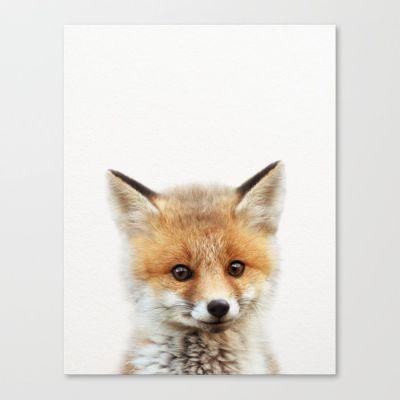 Baby Fox Baby Animals Art Print Unframed