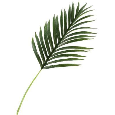 Medium Hawaiian Palm Leaf Stem Set of 3