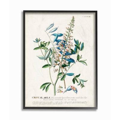 Botanical Plant Illustration Flowers And Leaves Vintage With Frame