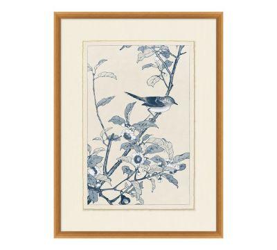 Birds In Blue Framed Paper Print