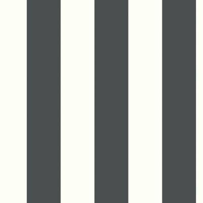 Marylyn Awning Stripes Peel and Stick Wallpaper Roll