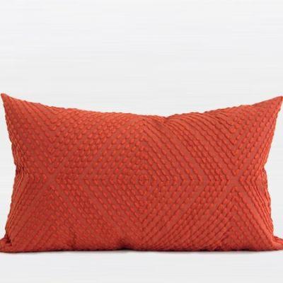 Barraza Embroidered Pillow Cover