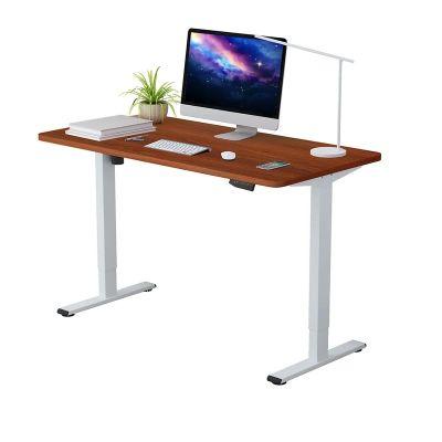 Home Office Electric Height Adjustable Standing Desk