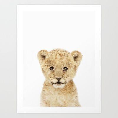 Baby Lion Cub Portrait Art Print